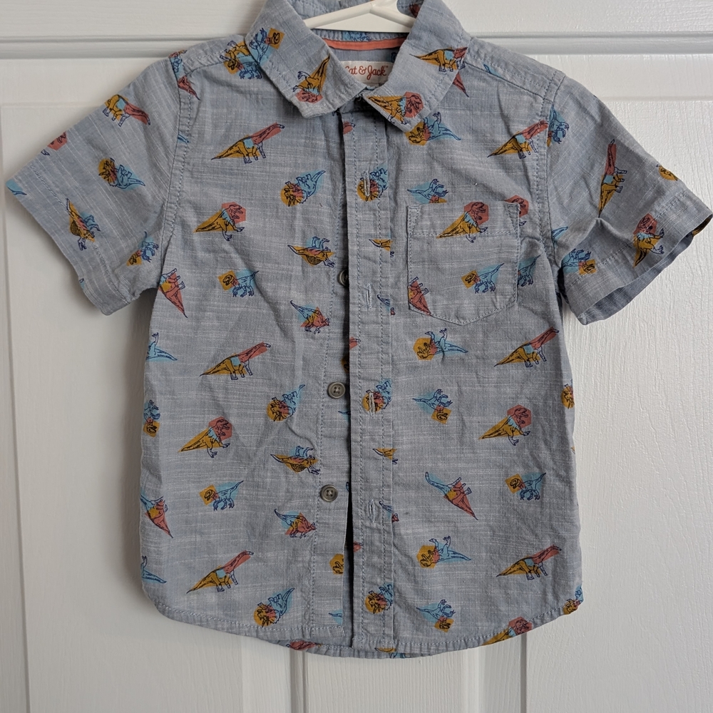 Gray Dinosaur Print Kids Shirt